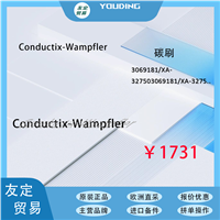 Conductix Wampfler 3069181/XA-32750 碳刷 议价