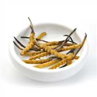 荔湾散装虫草回收实体档口