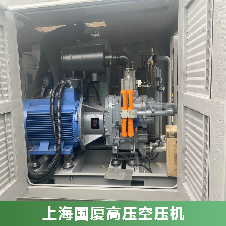 500L500公斤压力应急救援充气泵