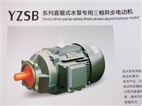 山东开元电机有限公司  三相异步电动机