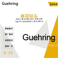 Guehring HSS/00,300 mm/DIN338Typ N/blank 麻花钻头 议价