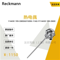 德国Reckmann  1144301R9-D800A01500K-11AX-Y热电偶议价