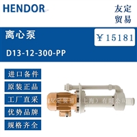 德国HENDOR  D13-12-300-PP离心泵议价