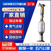 金杯海狮X30L T30 T32 T50 T52 新海狮三元催化器