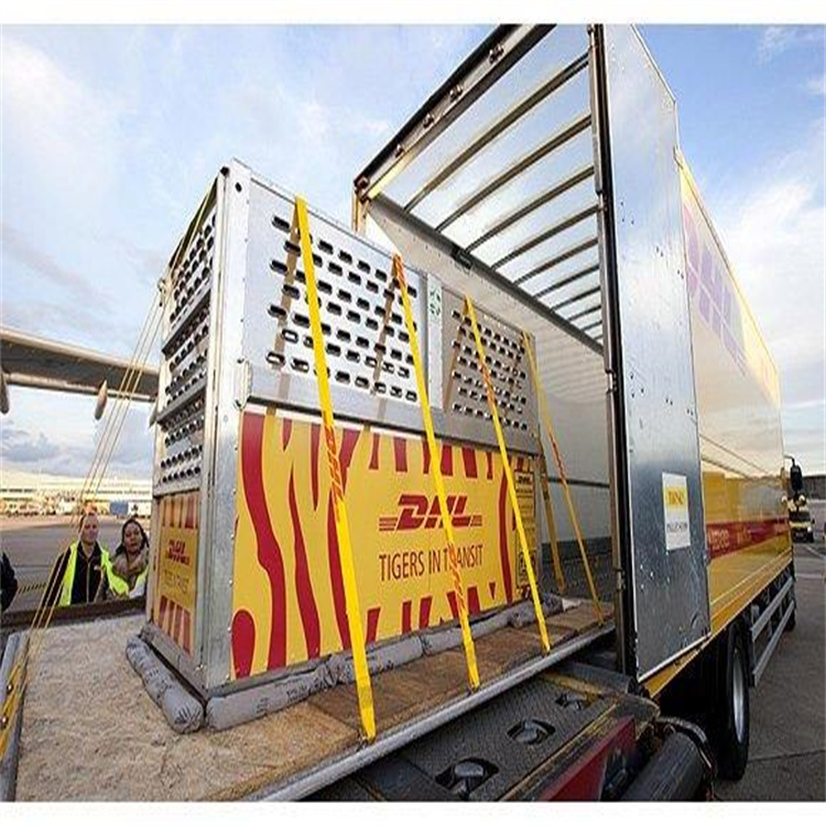 ����DHL���ʿ�ݹ�˾ ����DHLȫ����ʿ��