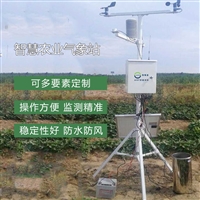 广西农作物生长气象观测设备 高标准农田小气候监测仪器