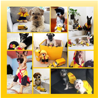 锡山DHL国际快递公司 锡山DHL快递下单咨询