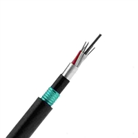 通信光缆GYXTZW53-8B1生产厂家