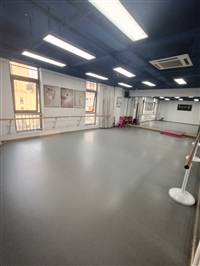 舞蹈教室防滑地膠 塑膠地板生產銷售