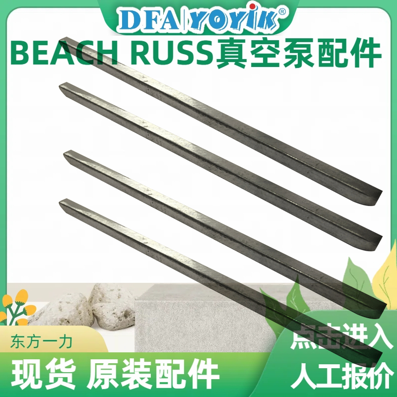 真空泵30-WS原装配件BEACH RUSS