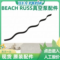 真空泵滤油器P-1258原装配件BEACH RUSS