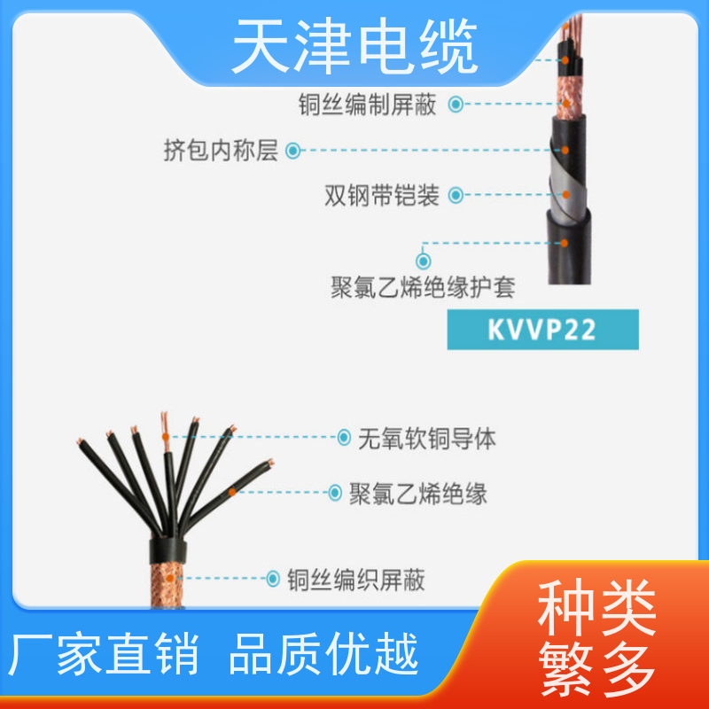 低烟无卤计算机电缆天津ZR-DJYPVP22厂商抗干扰用屏蔽电缆