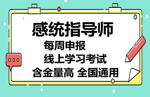 全国关感统训练师2025考试报名入口