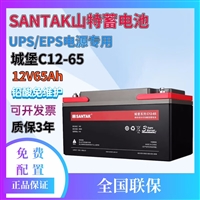 城堡蓄电池 C12-65AH 12V65AH铅酸免维护UPS电源太阳能直流屏