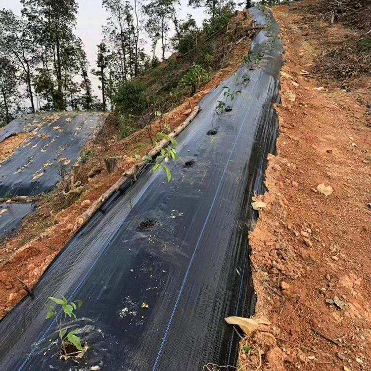 重庆市防草布控草编织膜一亩地价格