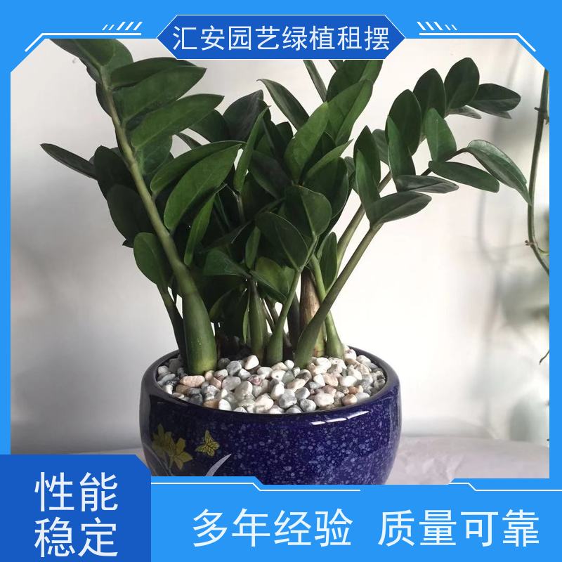 东莞汇安  植物养护 性价比高