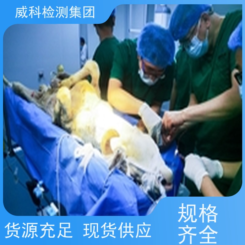 医疗器械检测-大动物实验-支架类产品试验-自膨支架及输送系统