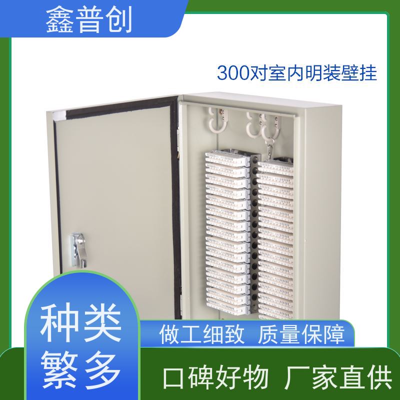 鑫普创 100对电缆交接箱可提供检测报告 详细介绍 货源充足