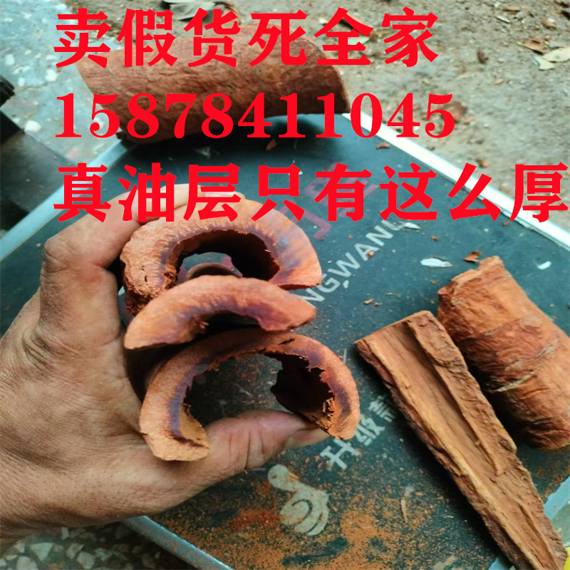 桂皮有油效果怎么样裕华区