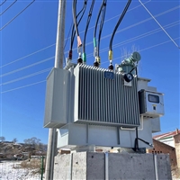 线路末端10KV高压线路全自动调压稳压器SVR-12500KVA    7-11KV