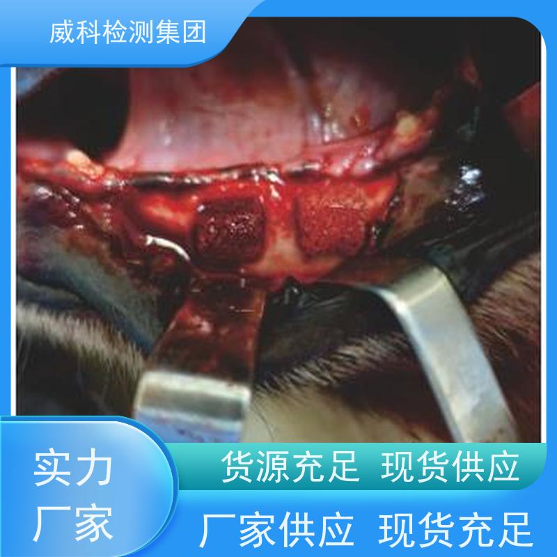 赢创德固赛PA12 L2141 耐磨蚀性 涂层应用 耐冲击 医疗器械 聚酰胺