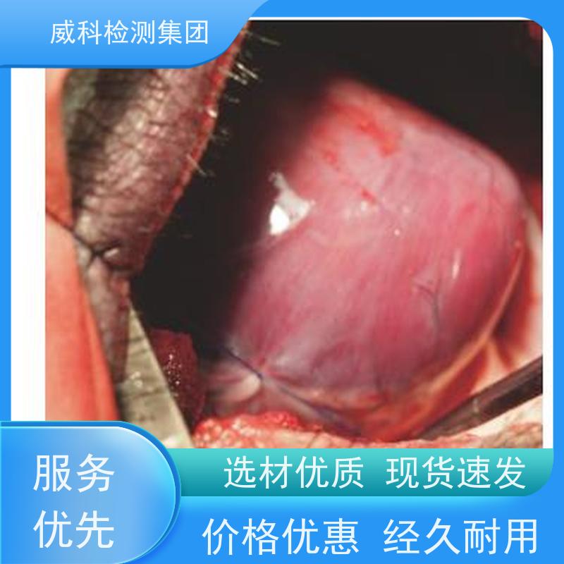 高速电吹风UL认证流程_UL目击实验室