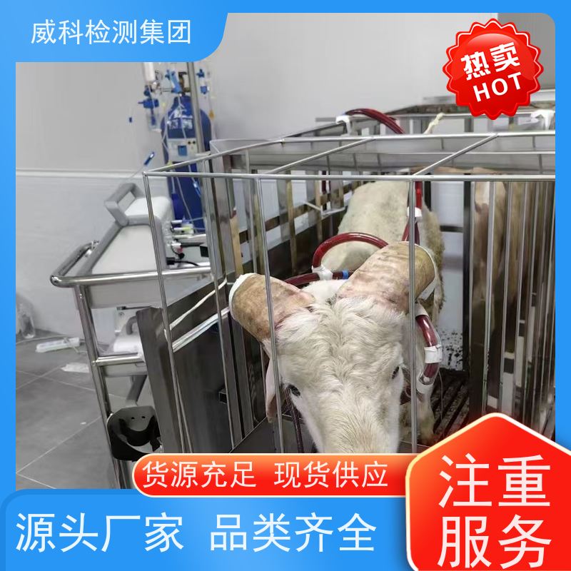 MiltonRoy GM0090-GM0500PQ PVC泵头计量机械泵 适用石油石化