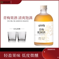 青梅鲜果酒果酒配制酒OEMOEM ODM贴牌加工山东皇菴堂