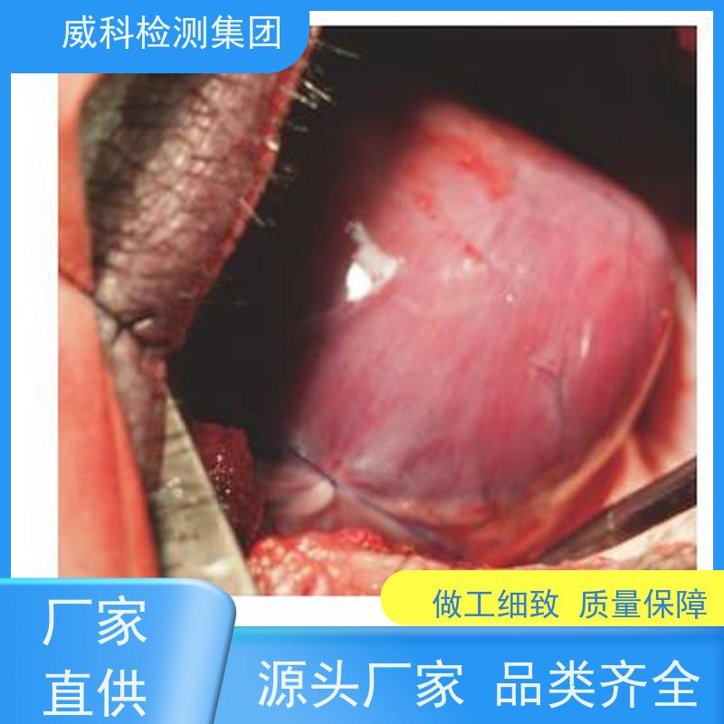 医疗器械检测-大动物实验-支架类产品试验-自膨支架及输送系统