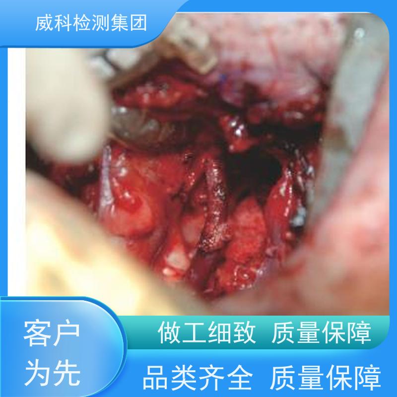 医疗器械检测-大动物实验-支架类产品试验-冠脉介入支架