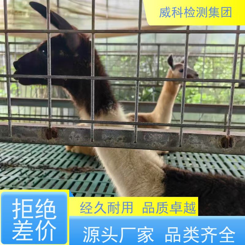医疗器械检测-大动物实验-支架类产品试验-神经血管支架