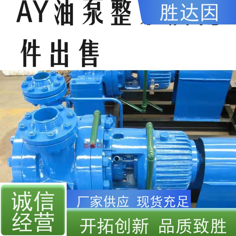 胜达因 大连100AY120X2 油泵 化工泵 厂家销售 量大价优