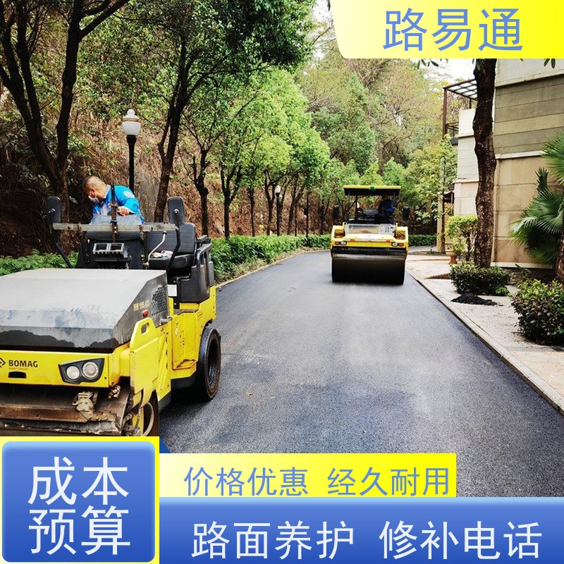 路易通 惠州道路沥青施工 球场沥青改造施工 白改黑工程