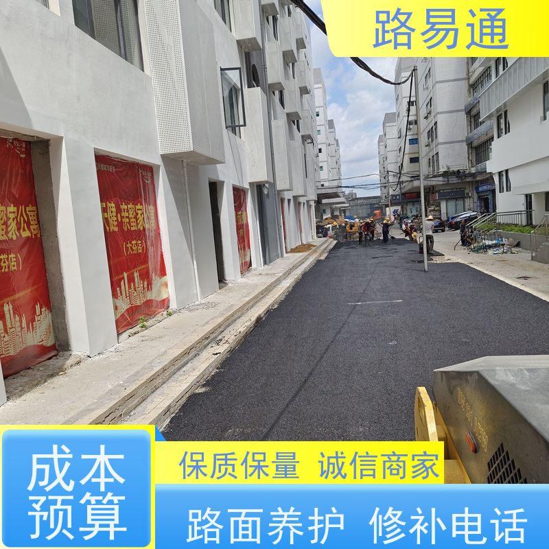 路易通 惠州彩色沥青施工 市政道路施工 多少钱一平