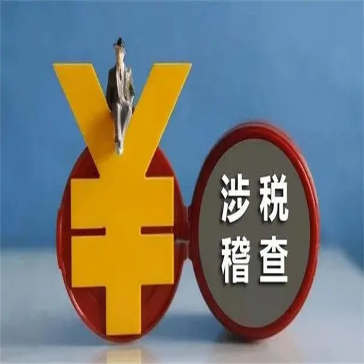 税务稽查罗湖公司流程和步骤 税务稽查南山公司自查报告怎么写