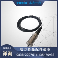 WHBTC-2 声传感器避光保存国电投电厂电站选用