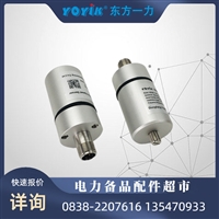 LS20-700P10T1AK 液位变送器德阳东方一力