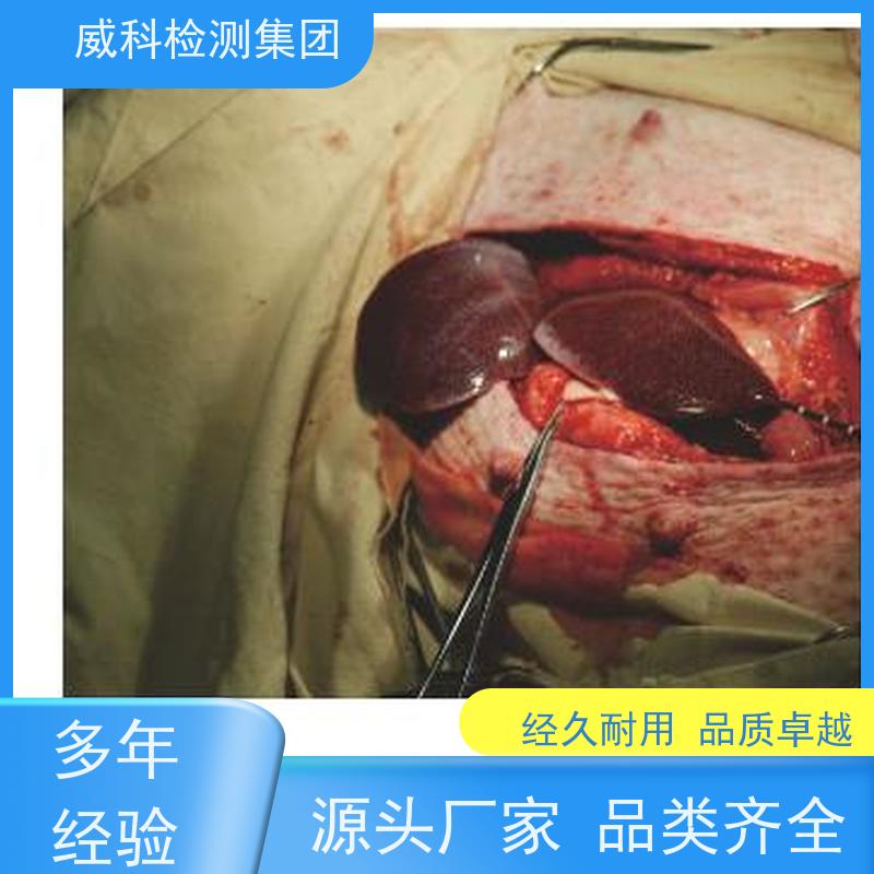 PA12 德国赢创德固赛 L1940 TROGAMID 医疗器械 管件应用