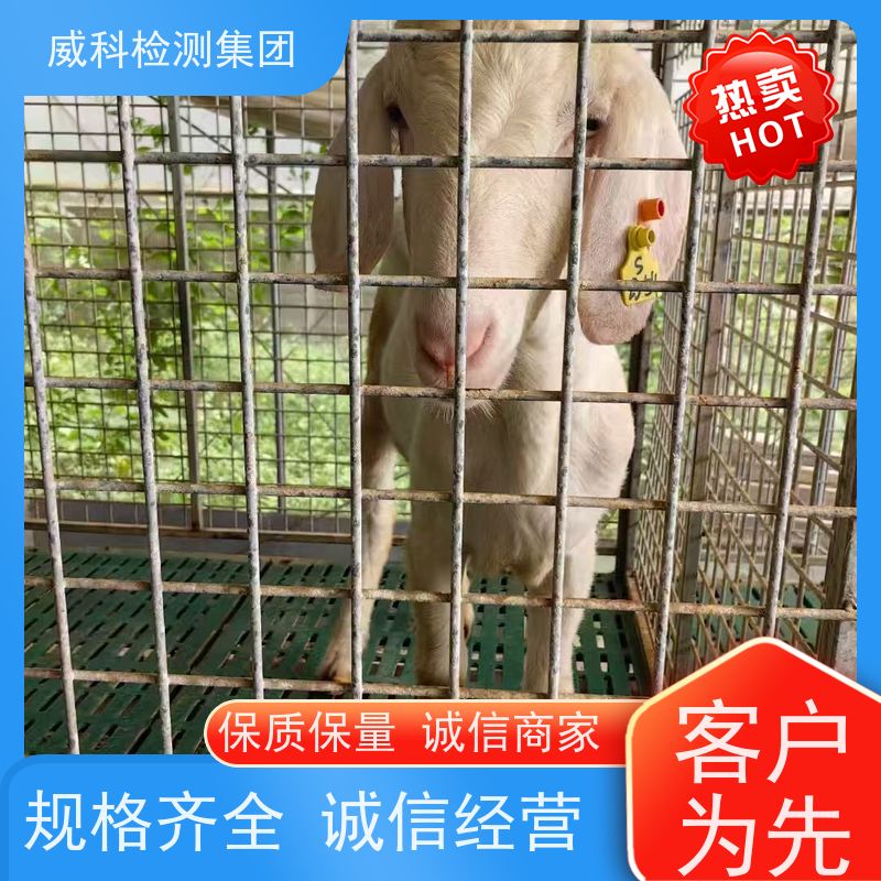 普罗名特prominent BT4B0413PVT2000UA00000 加碱泵 PVDF泵头 PAM