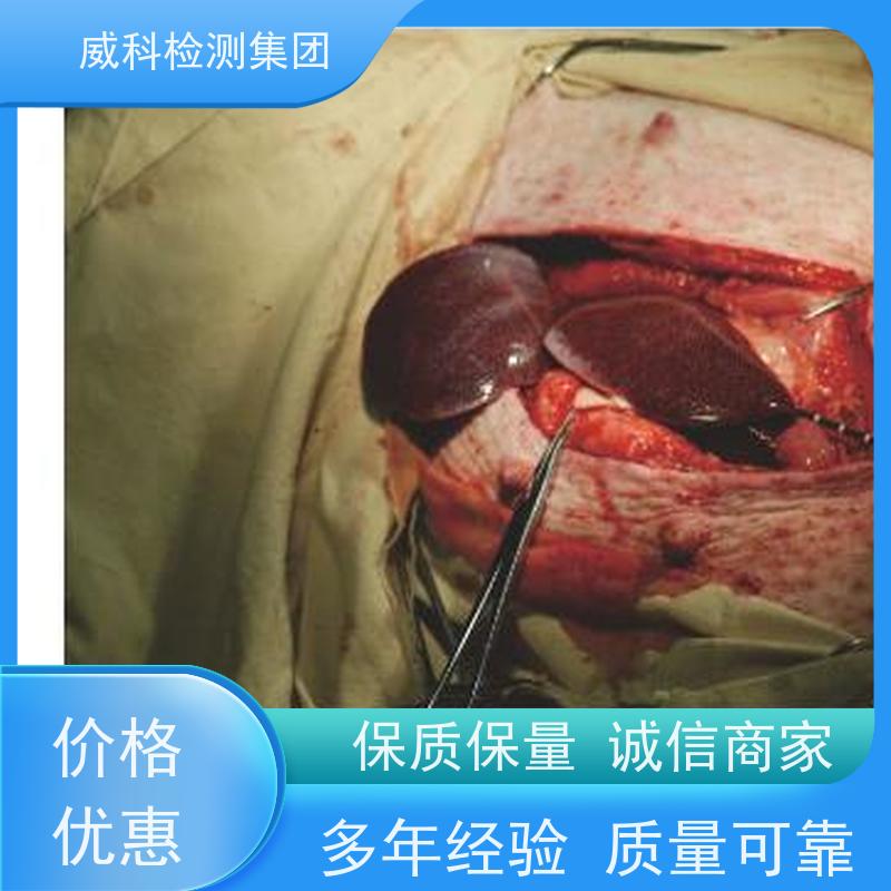 医疗器械检测-大动物实验-支架类产品试验-外周支架