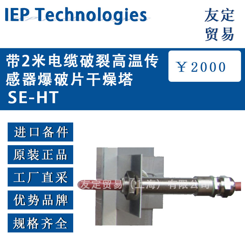 德国lEP Technologies  SE-HT带2米电缆破裂高温传感器爆破片干燥塔