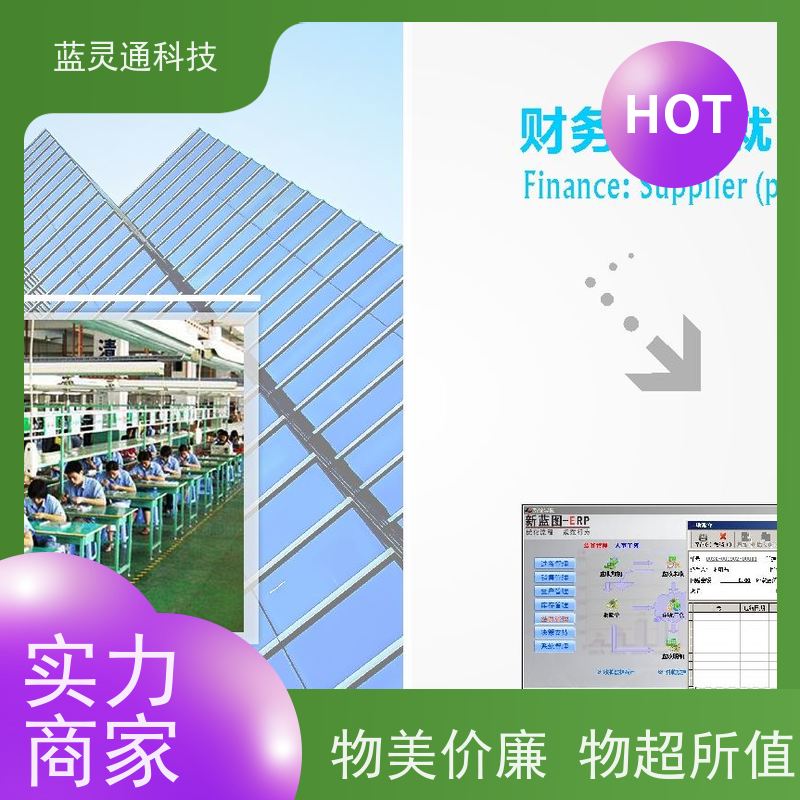 蓝灵通科技 广东 玩具ERP 20年老品牌 高效落地 不走弯路