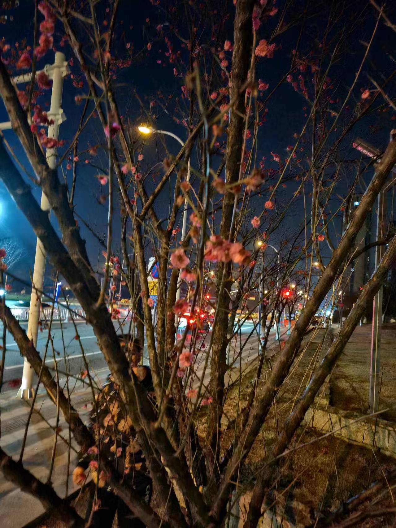 推荐:邢台到绵阳大巴/直达汽车电话预约留位/汽车客车