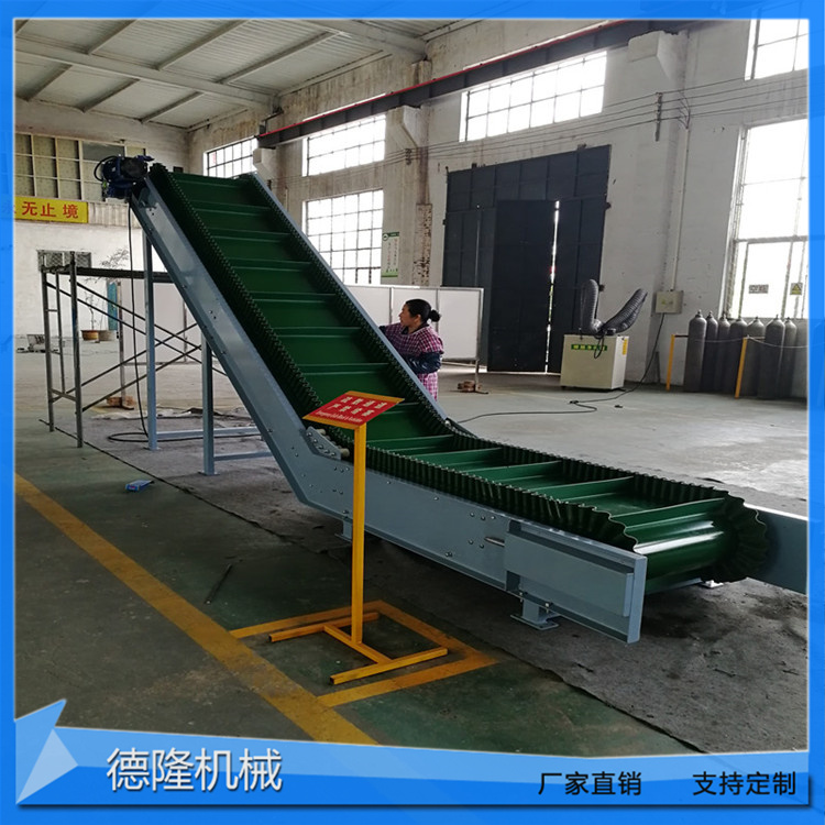 德隆 机场车站行李检测输送线 移动式散包两用提升机 定制尺寸