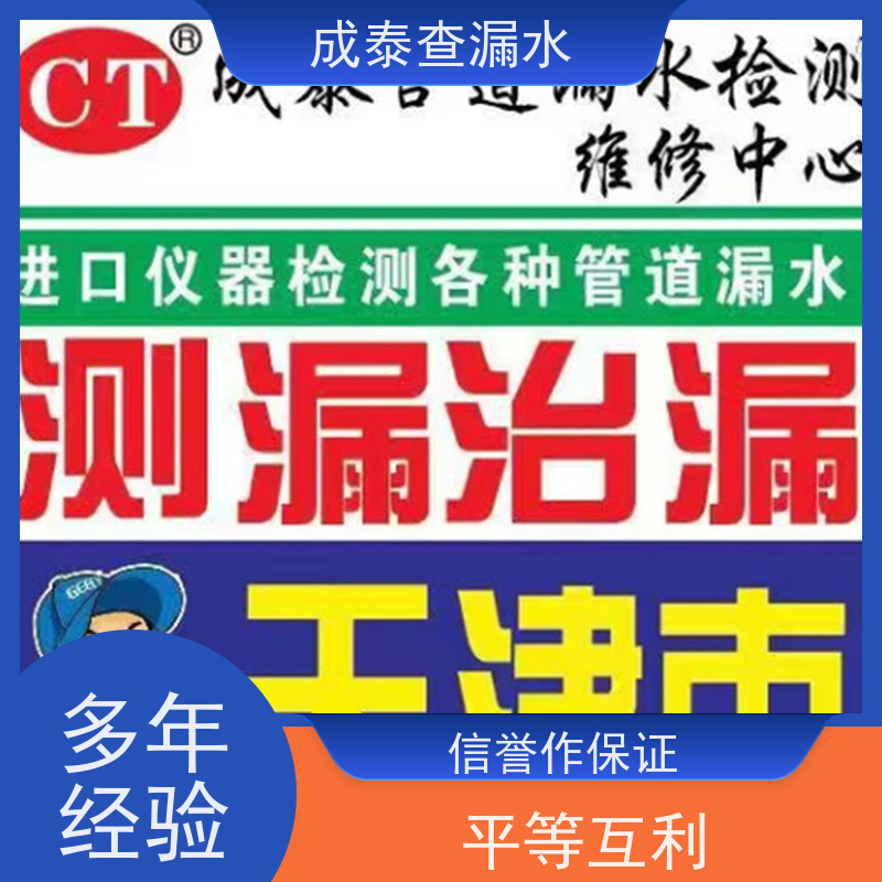 天津自来水管道漏水检漏电话，注重服务，上门修到家服务在成泰