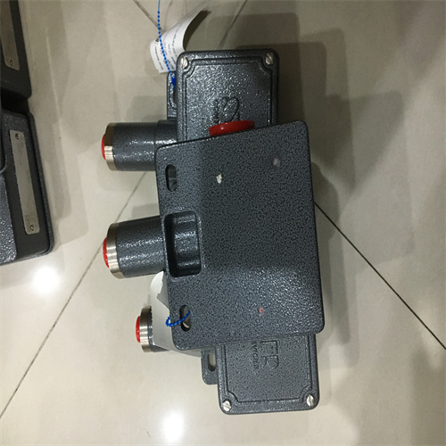 SOR压力开关BH-042045-042 0.2-2.1BAR批发