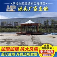  公司帐篷膜结构雨棚-厂家直供-型号齐全