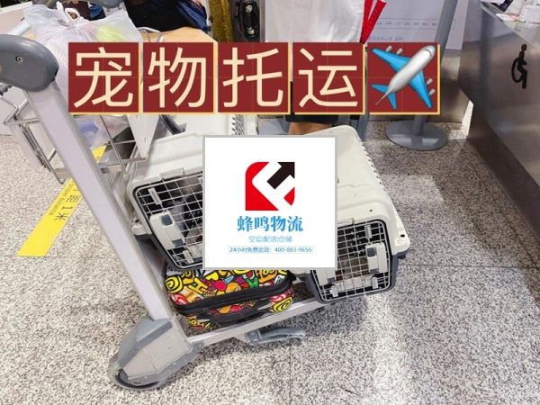 上海户口本航空货运如何办理