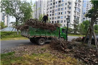 渭城区厂房垃圾清运 西安建筑垃圾清运价格