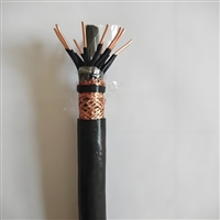 计算机控制电缆 DJYPV22-铠装计算机电缆